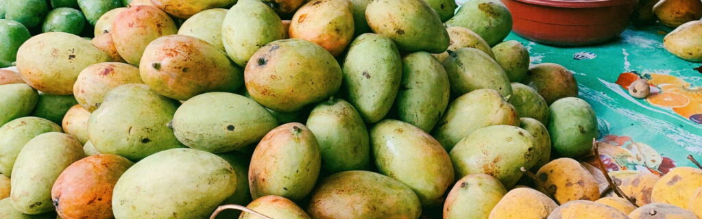 Kubanische Mango